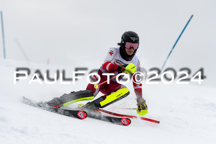 FIS Slalom Damen + Herren, 07.12.2024