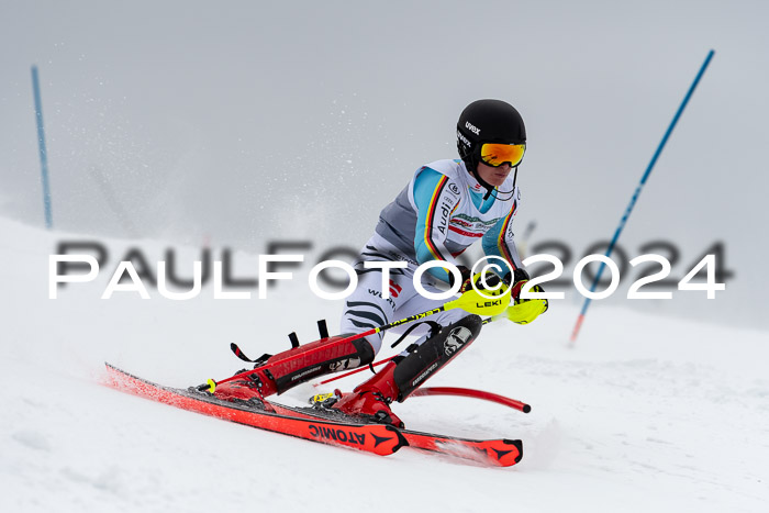 FIS Slalom Damen + Herren, 07.12.2024