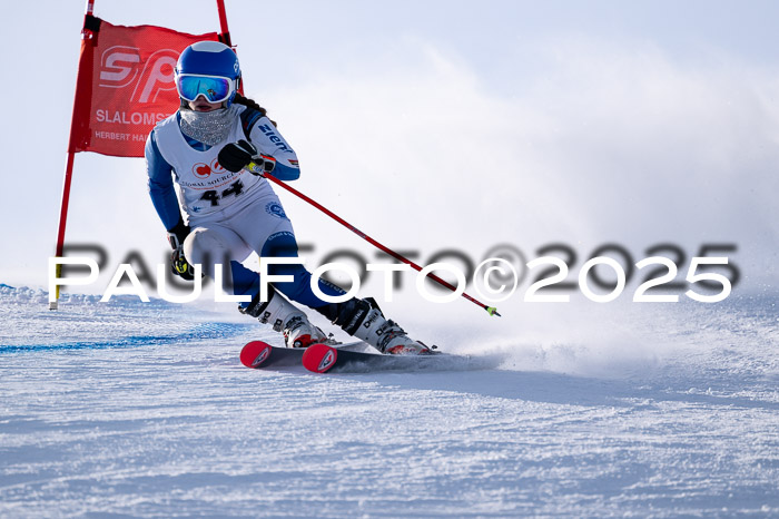 1. SVM Cup Willi-Wein-Gedächtnisrennen, RS, 04.01.2025