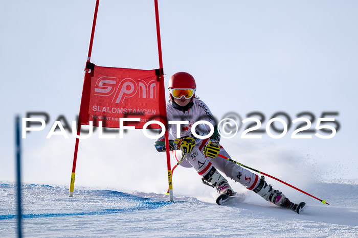 1. SVM Cup Willi-Wein-Gedächtnisrennen, RS, 04.01.2025