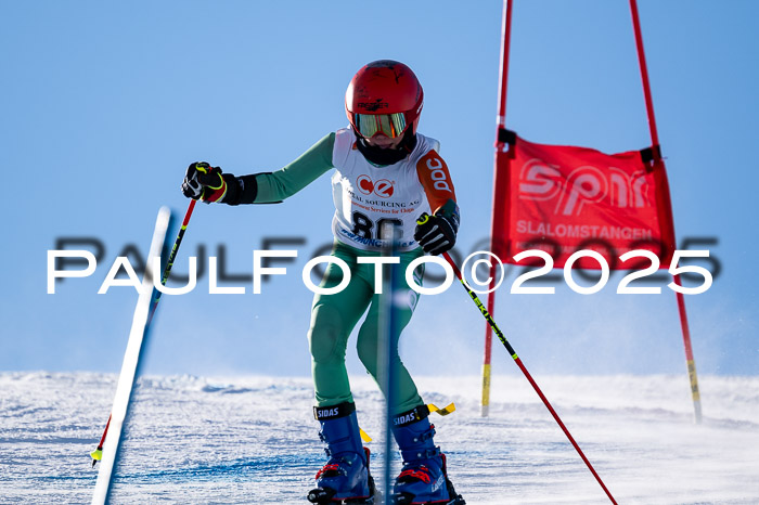 1. SVM Cup Willi-Wein-Gedächtnisrennen, RS, 04.01.2025