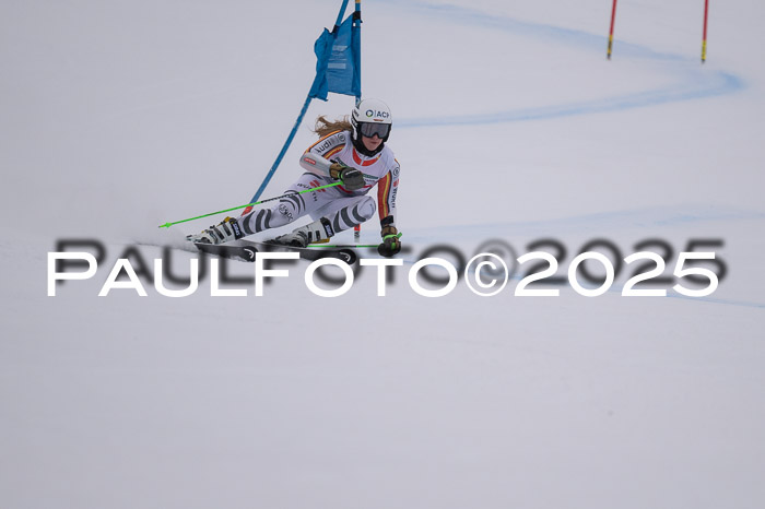 FIS Damen, RS Maria Alm 15.01.2025