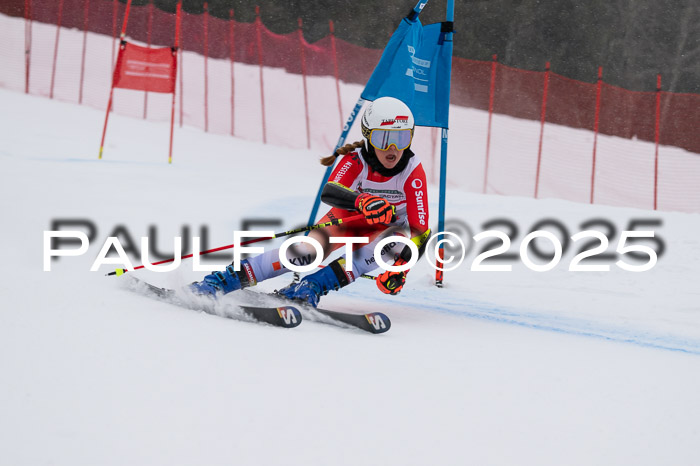 FIS Damen, RS Maria Alm 15.01.2025