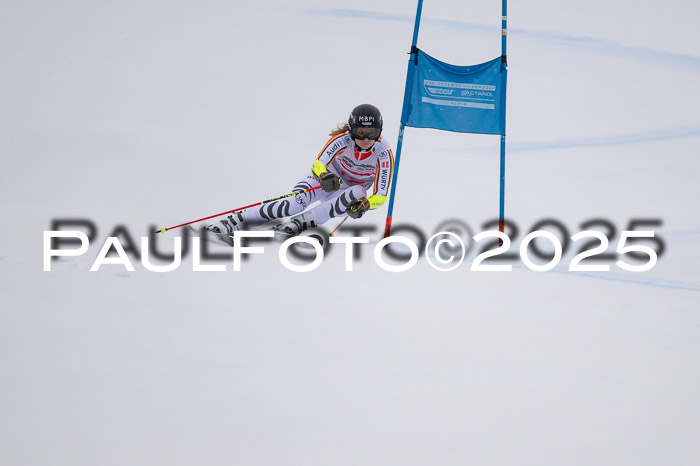 FIS Damen, RS Maria Alm 15.01.2025