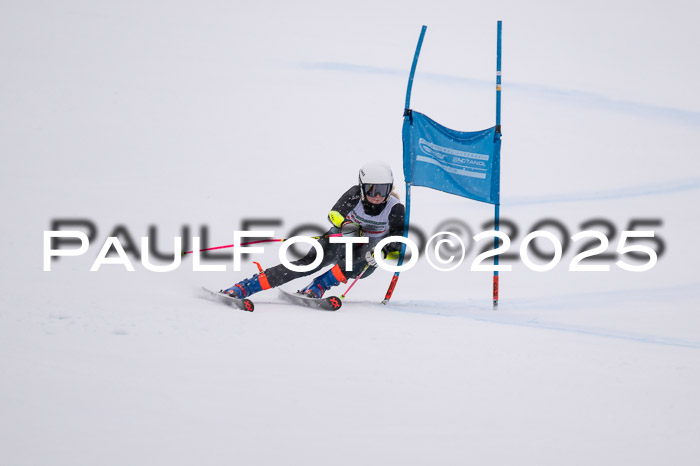 FIS Damen, RS Maria Alm 15.01.2025