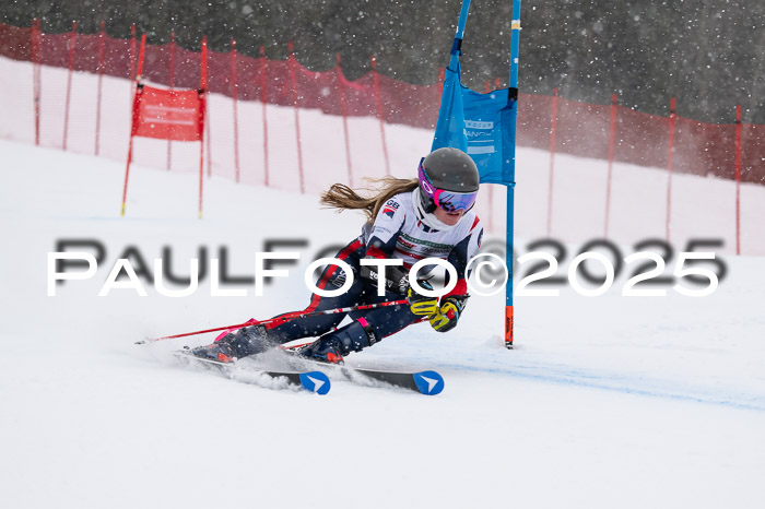 FIS Damen, RS Maria Alm 15.01.2025