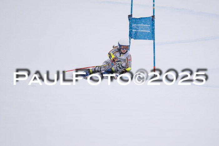 FIS Damen, RS Maria Alm 15.01.2025