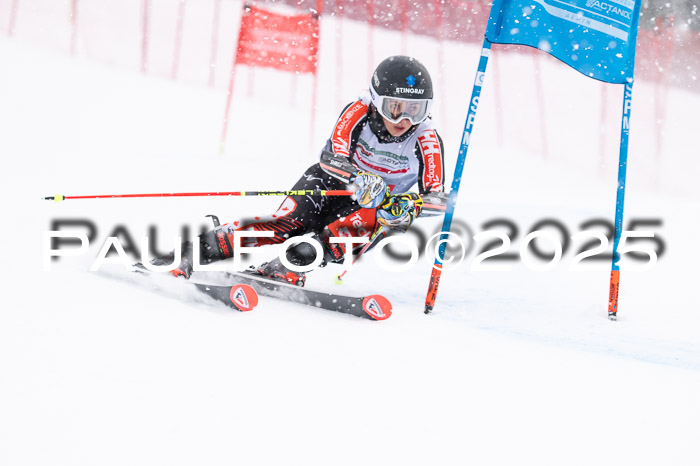 FIS Damen, RS Maria Alm 15.01.2025