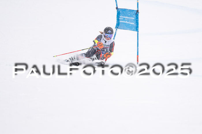 FIS Damen, RS Maria Alm 15.01.2025