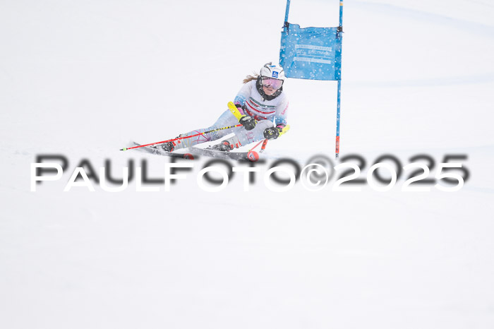 FIS Damen, RS Maria Alm 15.01.2025