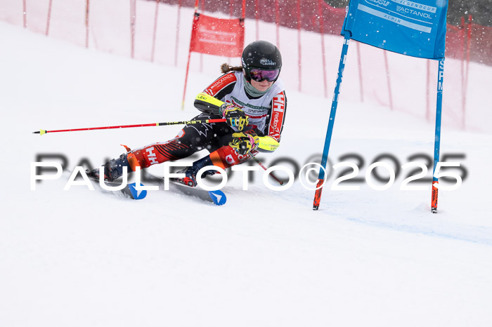 FIS Damen, RS Maria Alm 15.01.2025