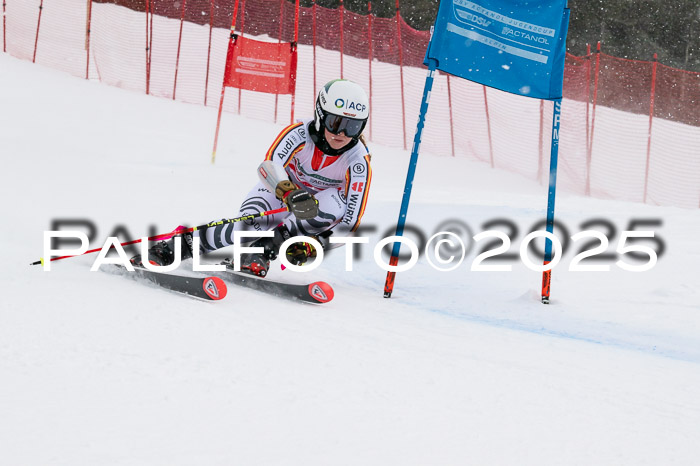 FIS Damen, RS Maria Alm 15.01.2025