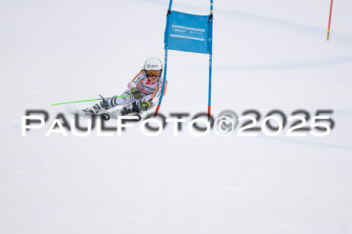 FIS Damen, RS Maria Alm 15.01.2025