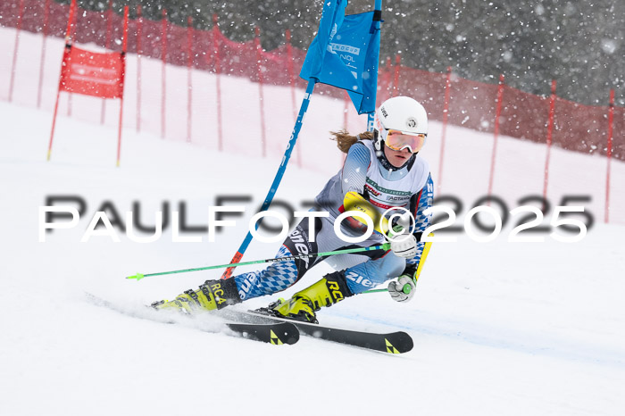 FIS Damen, RS Maria Alm 15.01.2025