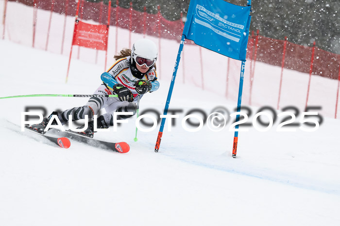 FIS Damen, RS Maria Alm 15.01.2025