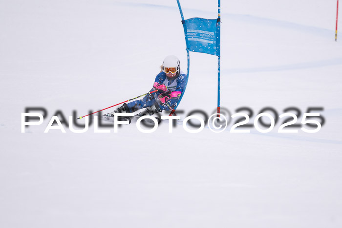 FIS Damen, RS Maria Alm 15.01.2025