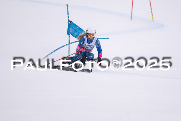 FIS Damen, RS Maria Alm 15.01.2025