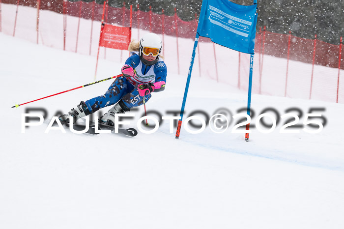 FIS Damen, RS Maria Alm 15.01.2025