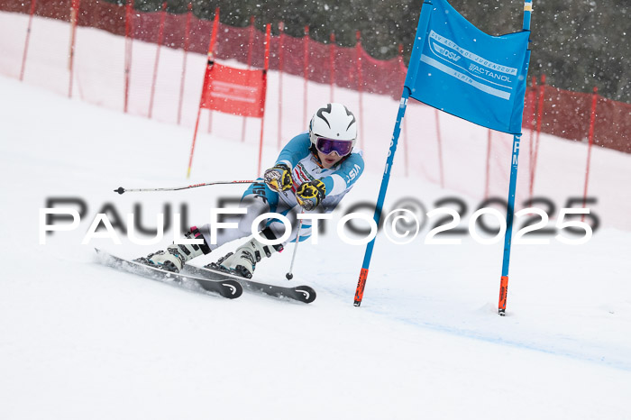 FIS Damen, RS Maria Alm 15.01.2025