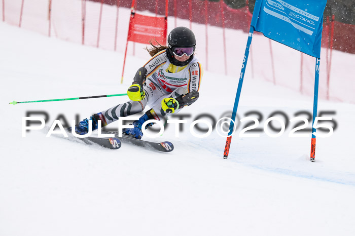 FIS Damen, RS Maria Alm 15.01.2025