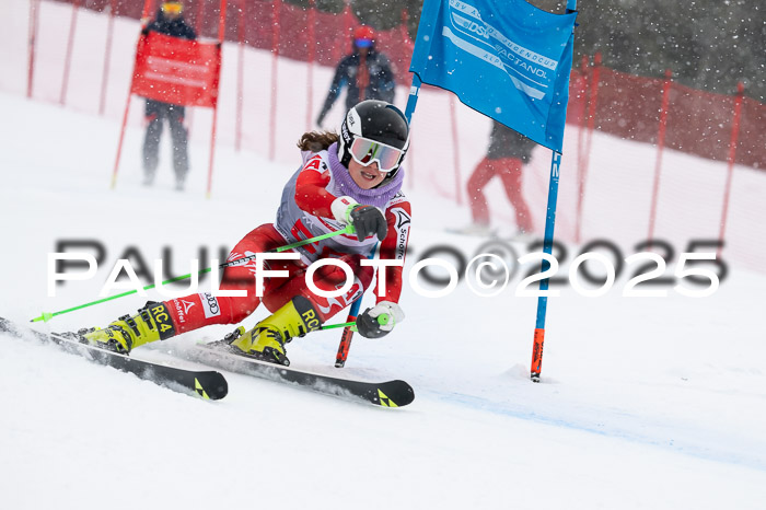 FIS Damen, RS Maria Alm 15.01.2025