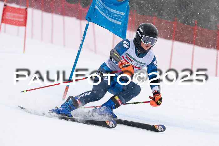 FIS Damen, RS Maria Alm 15.01.2025