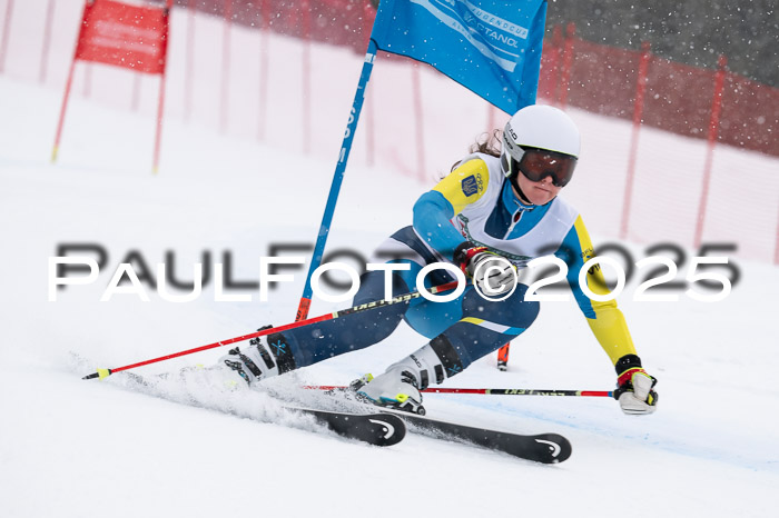 FIS Damen, RS Maria Alm 15.01.2025