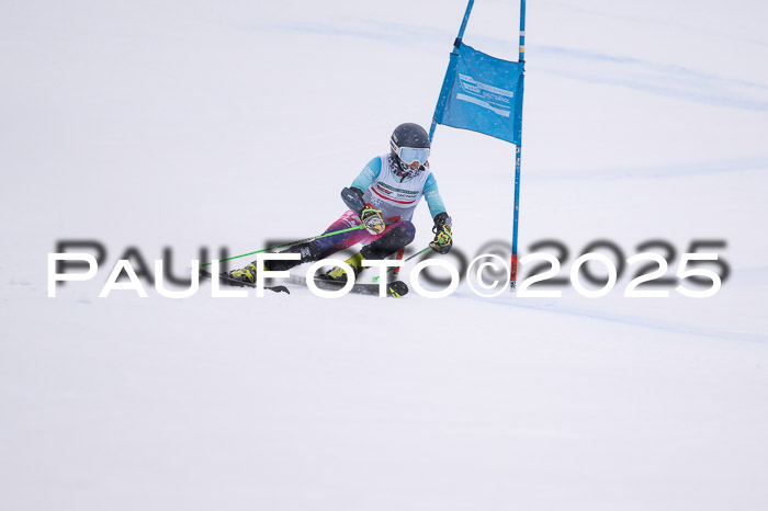 FIS Damen, RS Maria Alm 15.01.2025