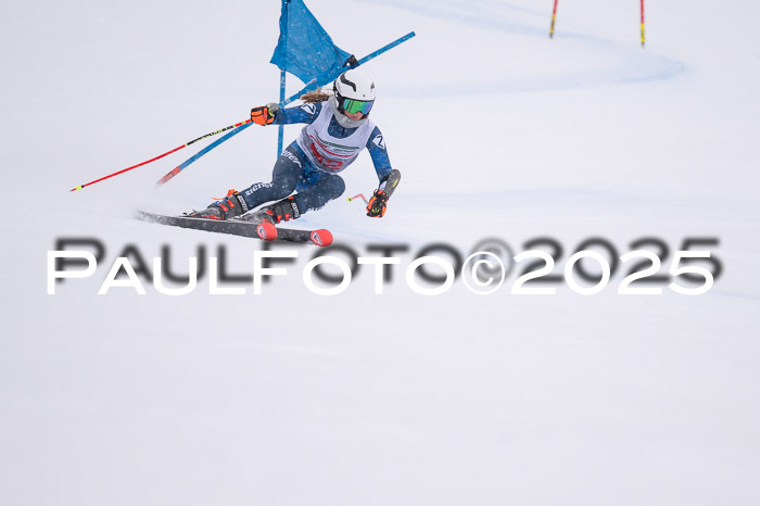 FIS Damen, RS Maria Alm 15.01.2025