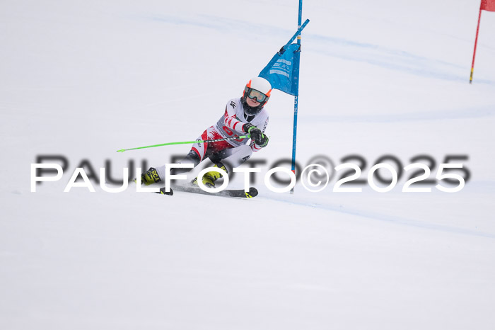 FIS Damen, RS Maria Alm 15.01.2025