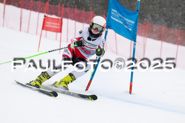 FIS Damen, RS Maria Alm 15.01.2025