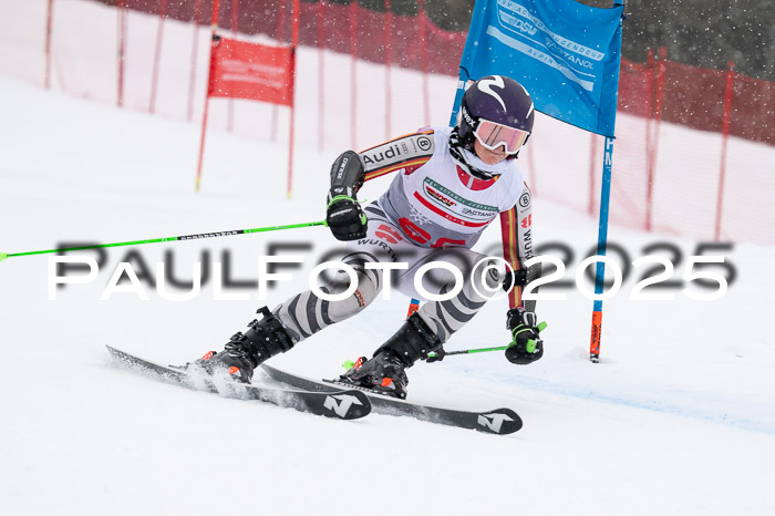 FIS Damen, RS Maria Alm 15.01.2025