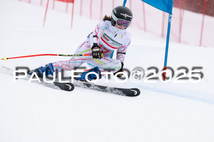 FIS Damen, RS Maria Alm 15.01.2025