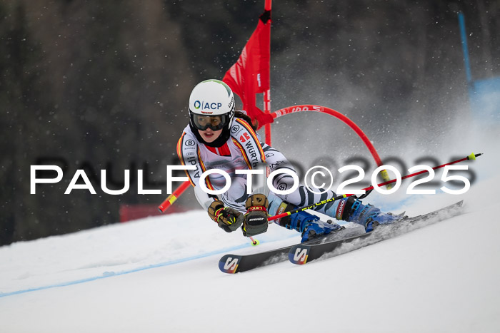 FIS Damen, RS Maria Alm 15.01.2025