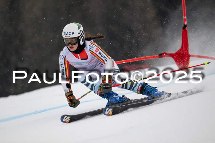 FIS Damen, RS Maria Alm 15.01.2025