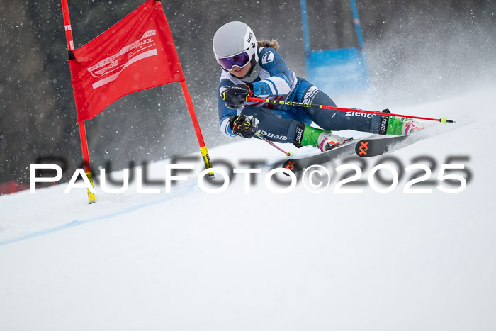 FIS Damen, RS Maria Alm 15.01.2025