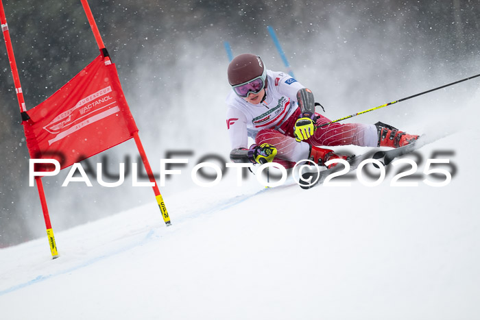 FIS Damen, RS Maria Alm 15.01.2025