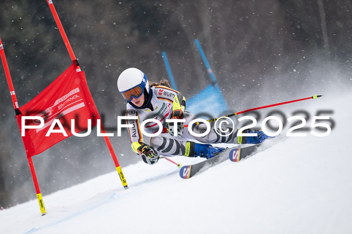 FIS Damen, RS Maria Alm 15.01.2025