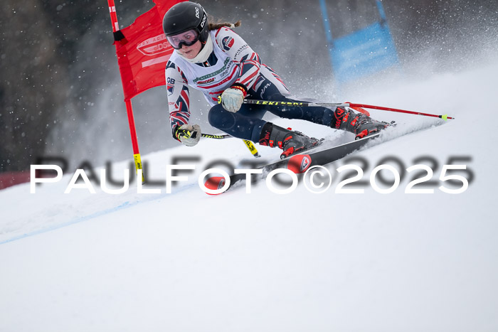 FIS Damen, RS Maria Alm 15.01.2025