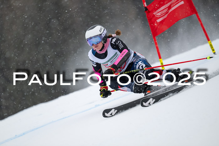 FIS Damen, RS Maria Alm 15.01.2025