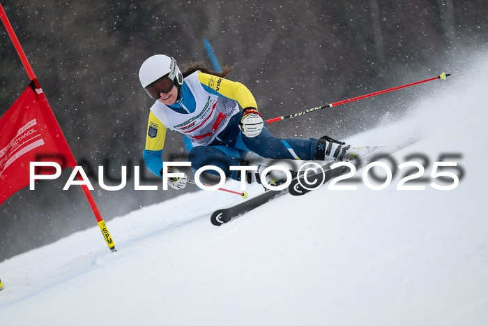 FIS Damen, RS Maria Alm 15.01.2025