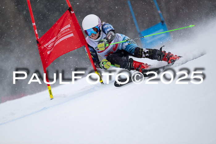 FIS Damen, RS Maria Alm 15.01.2025