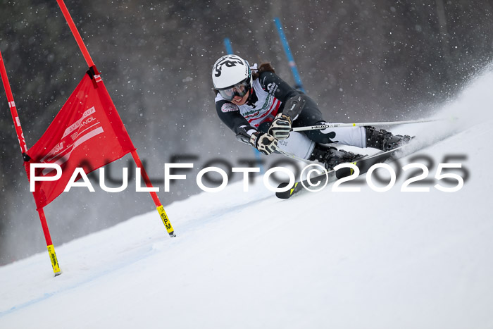 FIS Damen, RS Maria Alm 15.01.2025