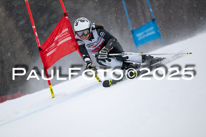 FIS Damen, RS Maria Alm 15.01.2025