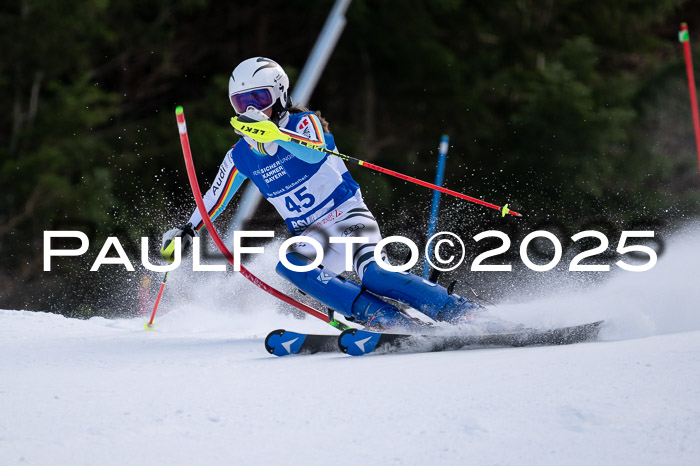 Bayerische Schülermeisterschaft SL, 19.01.2025