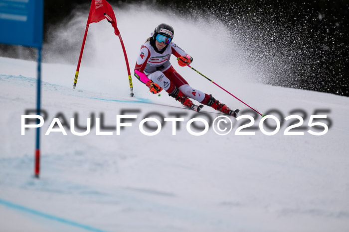 FIS Riesenslalom, Damen + Herren, Deutsche Jugendmeistersachaft 24.01.2025