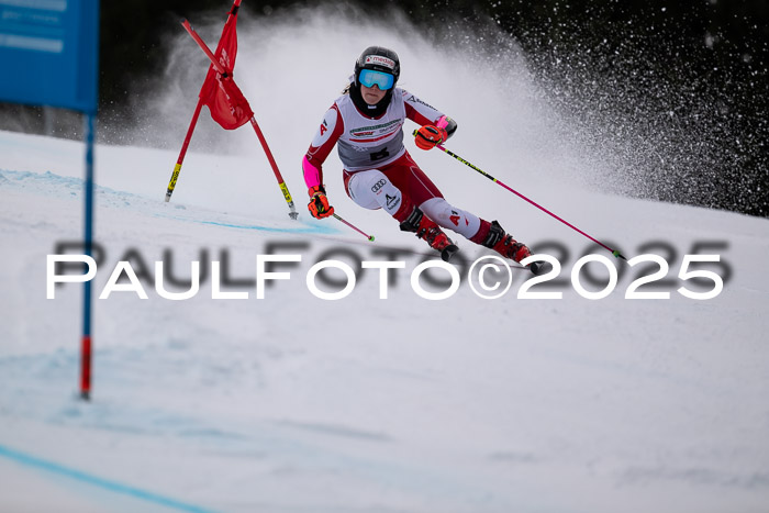 FIS Riesenslalom, Damen + Herren, Deutsche Jugendmeistersachaft 24.01.2025