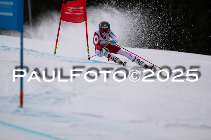 FIS Riesenslalom, Damen + Herren, Deutsche Jugendmeistersachaft 24.01.2025