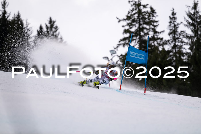 FIS Riesenslalom, Damen + Herren, Deutsche Jugendmeistersachaft 24.01.2025