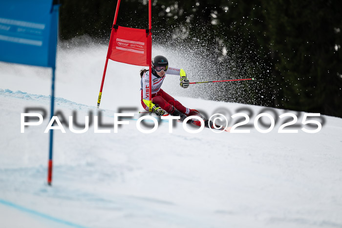 FIS Riesenslalom, Damen + Herren, Deutsche Jugendmeistersachaft 24.01.2025